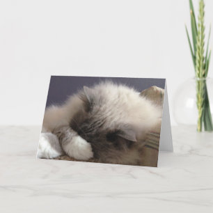 Blank Greeting Card