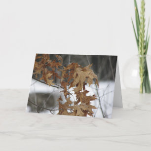 Blank Greeting Card