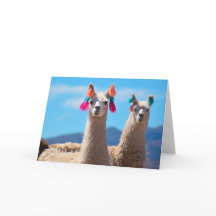 Blank Greeting Card - Llamas