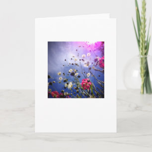 Blank greeting card, photo on front. card