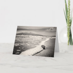 Blank Greeting card - sea shell on beach