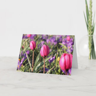 Blank Greeting Card: Spring flowers Card