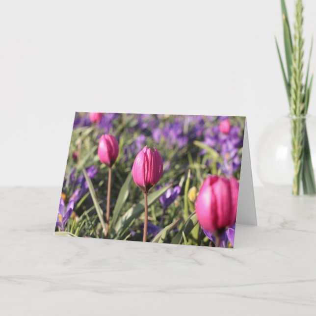 Blank Greeting Card: Spring flowers Card (Front)