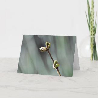 Blank greeting card with Budding Lilac photo