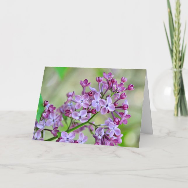 Blank greeting card with Lilac Flowers (Front)