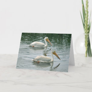 Blank Greeting Card with Pelican photo
