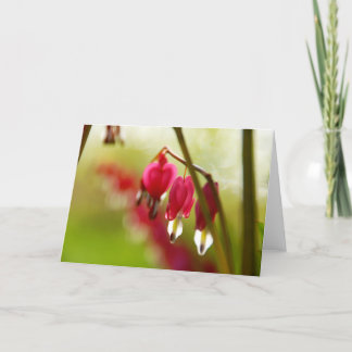 Blank greeting card with photo of Bleeding Hearts