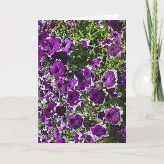 Blank greeting card with purple flowers (Front)
