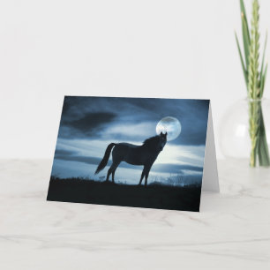 Blank Horse Card, Beautiful Horse and Moon Card
