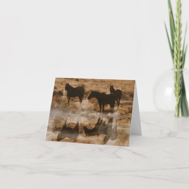Blank Horse Note Cards (Front)