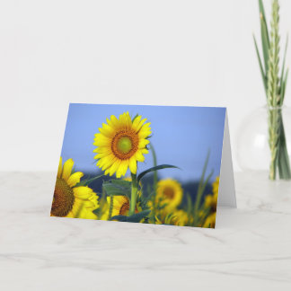 Blank inside for your customisation card