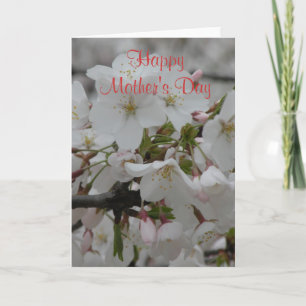 Blank Inside Happy Mother's Day Card