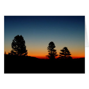 Blank Inside, Sierra Sunrise