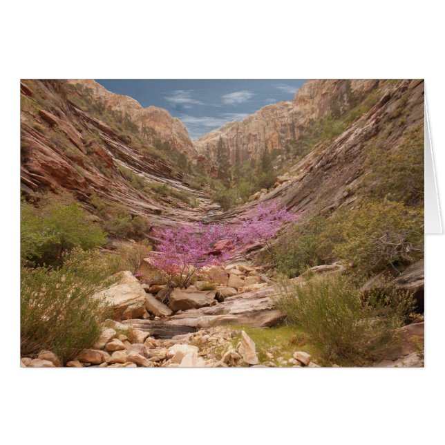 Blank Inside, Terrace Canyon Scenic Greeting Card  (Front Horizontal)