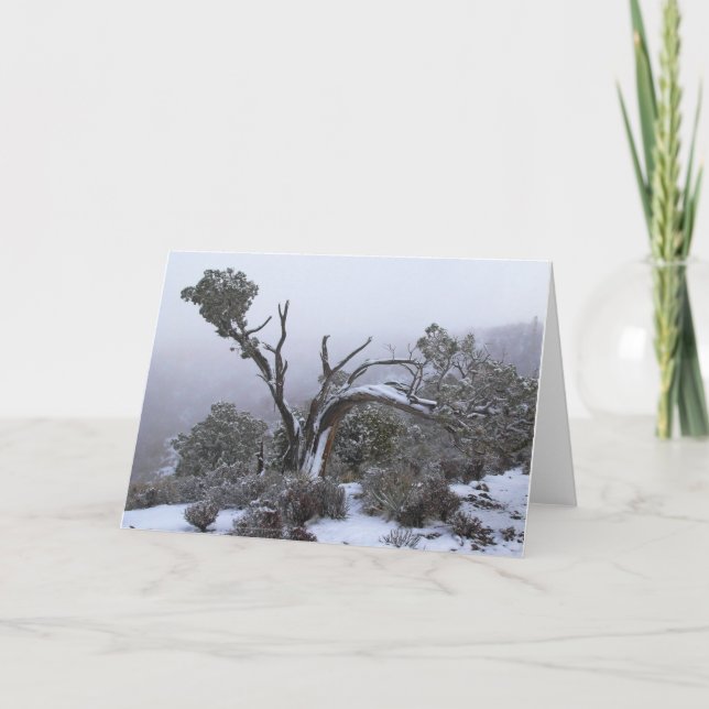 Blank Inside Winter Tree Greeting Card (Front)