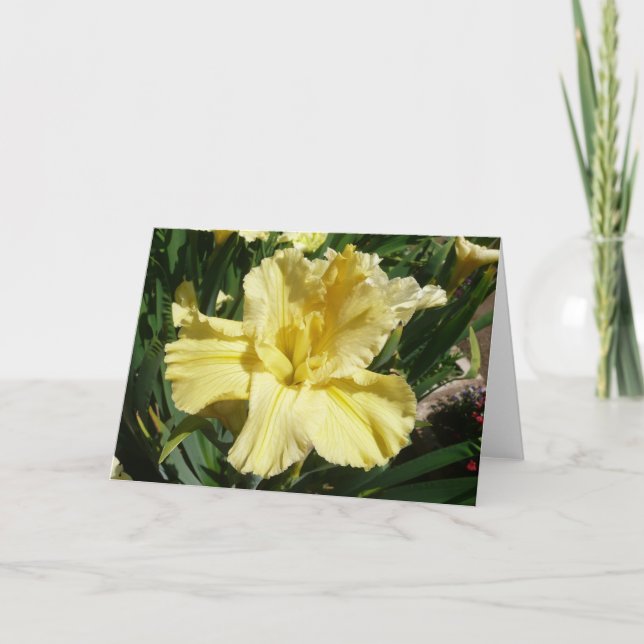 Blank Iris Card -"LEMON SORBET" (Front)