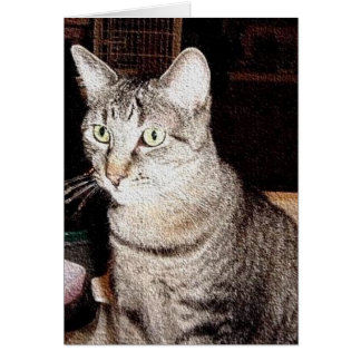 blank kitty cat card