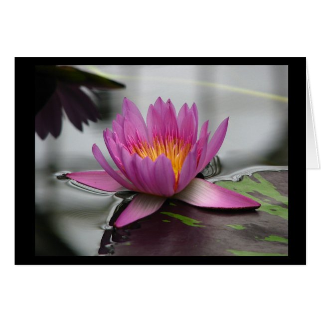 Blank Lotus Card (vertical) (Front Horizontal)