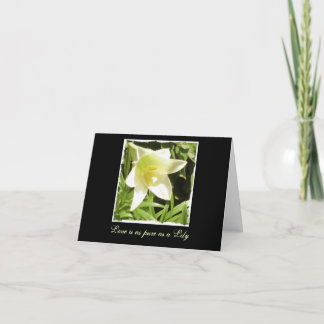 Blank Note Card