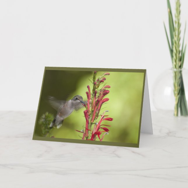 Blank Note Card (Front)