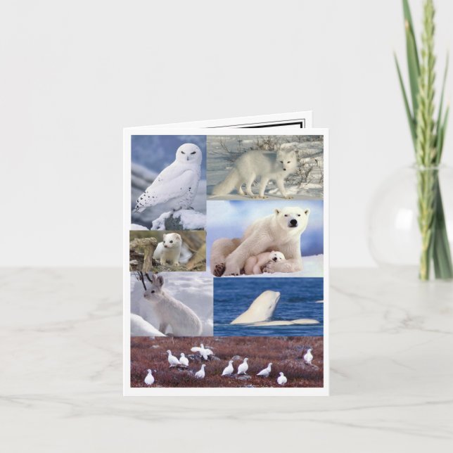 Blank Note Card (Front)