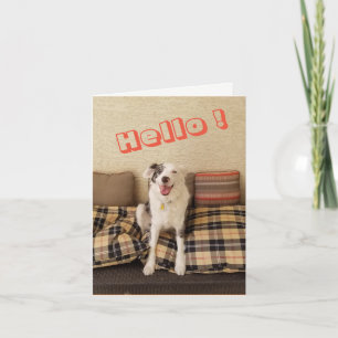 Blank Note Card Dog saying Hello