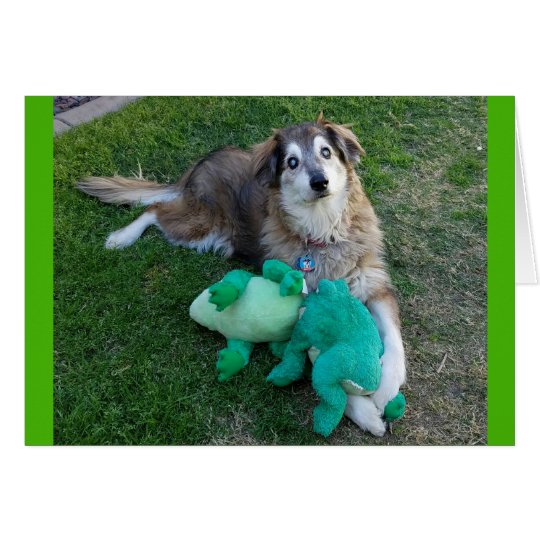 Blank Note Card Dog with Frogs
