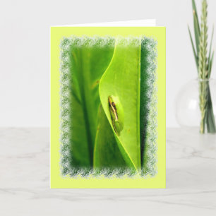 Blank Note Card, Green Tree Frog Card