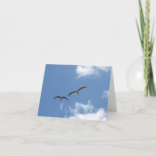 Blank Note Card--La Jolla Seagulls Card