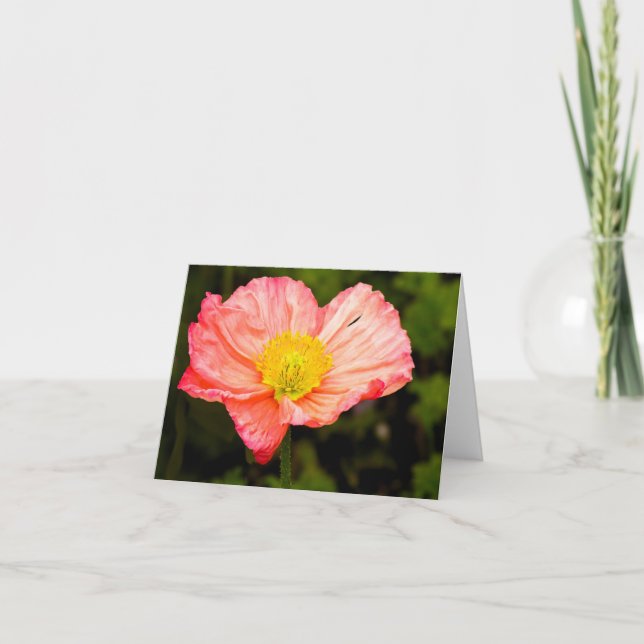 Blank Note Card - Poppy (Front)