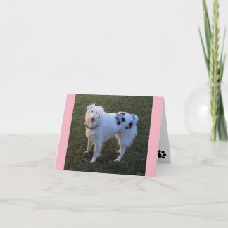 Blank Note card with Australian Shepherd