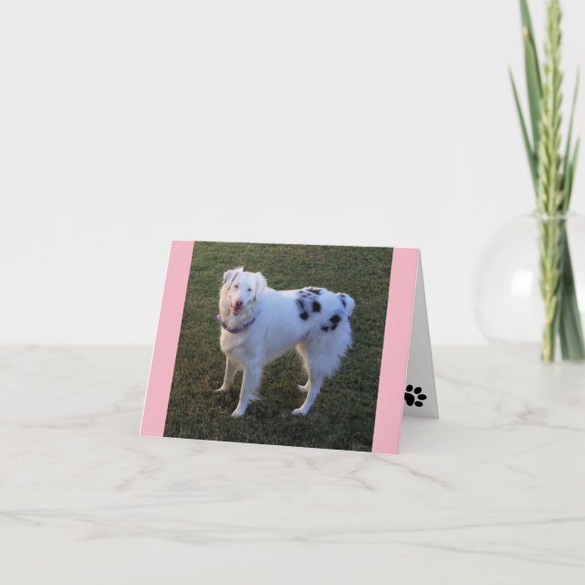 Blank Note card with Australian Shepherd (Front)