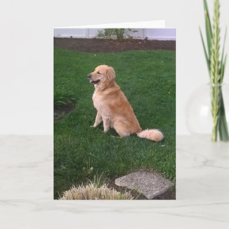 Blank Note Card with Golden Retriever Jake