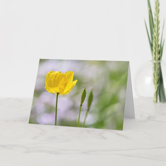 Blank Note Card - Yellow Welsh Poppy (Front)