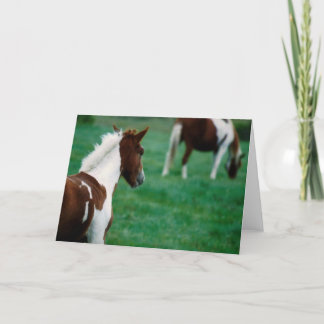 Blank Notecard_Horses Grazing in Summer Card