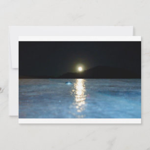 Blank Notecards