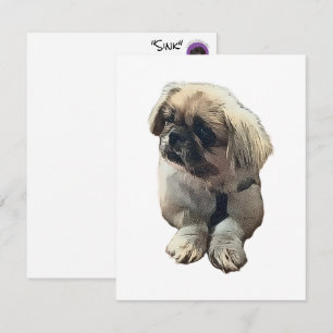 Blank Pekingese Card featuring "Sink"