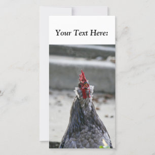 Blank Photo Card, Rooster