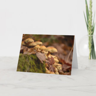 Blank Photo Greeting Card