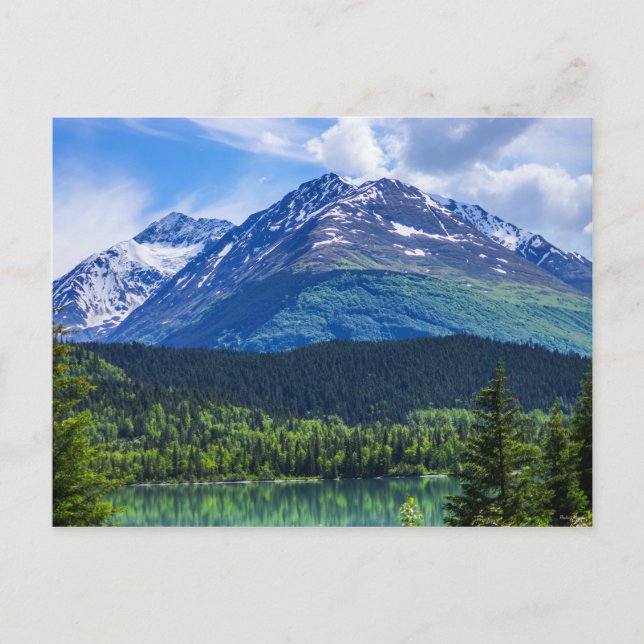 Blank Post Card (Front)