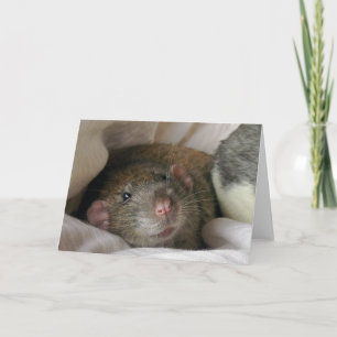 Blank Rat Card