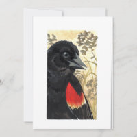 Blank - Red Winged Black Bird Watercolor 