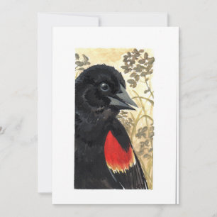 Blank - Red Winged Black Bird Watercolor  Thank You Card
