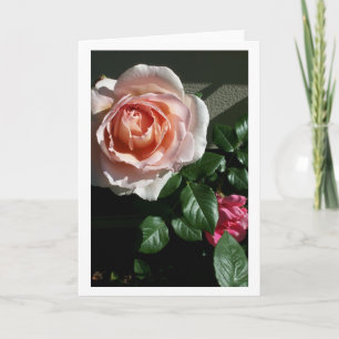 Blank Rose Card #2