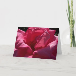 Blank Rose Greeting Card