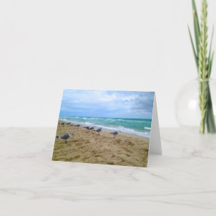 Blank Seagull Beach Card