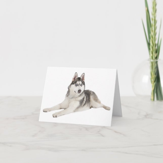 Blank Siberian Husky Puppy Dog Hello Love Miss You Card (Front)