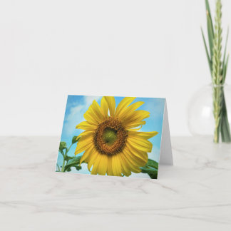 Blank sunflower greeting card