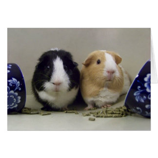 Blank "Tea-Time" Card