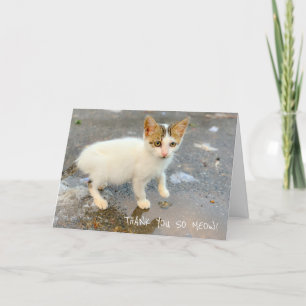 BLANK THANK YOU SO MEOW! THANK YOU CARD